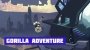 Gorilla Adventure Системные Требования